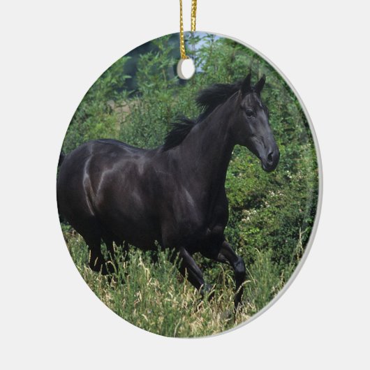 Thoroughbred Horse Runin Grass Keramisch Ornament (Links)