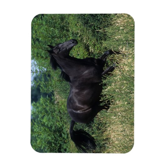 Thoroughbred Horse Runin Grass Magneet (Verticaal)