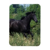 Thoroughbred Horse Runin Grass Magneet (Verticaal)