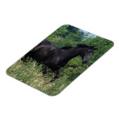 Thoroughbred Horse Runin Grass Magneet (Linkerzijde)