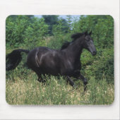 Thoroughbred Horse Runin Grass Muismat (Voorkant)