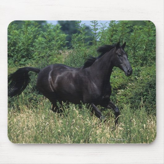 Thoroughbred Horse Runin Grass Muismat (Voorkant)