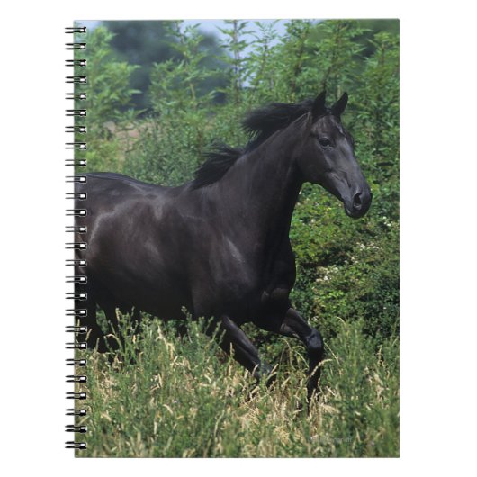 Thoroughbred Horse Runin Grass Notitieboek (Voorkant)