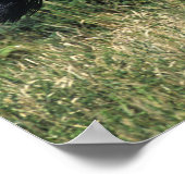 Thoroughbred Horse Runin Grass Poster (Hoek)