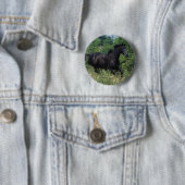Thoroughbred Horse Runin Grass Ronde Button 5,7 Cm (In situ)