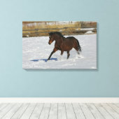 Thoroughbred Horse Runin the Snow Canvas Afdruk (Insitu (Houten vloer))