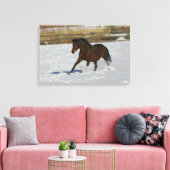 Thoroughbred Horse Runin the Snow Canvas Afdruk (Insitu (Woonkamer))