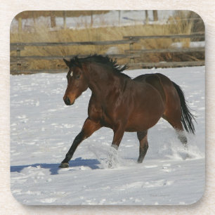 Thoroughbred Horse Runin the Snow Drankjes Onderzetter