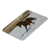 Thoroughbred Horse Runin the Snow Magneet (Linkerzijde)