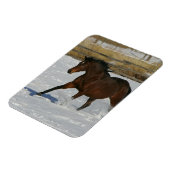 Thoroughbred Horse Runin the Snow Magneet (Linkerzijde)