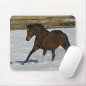 Thoroughbred Horse Runin the Snow Muismat (Met muis)