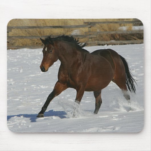 Thoroughbred Horse Runin the Snow Muismat (Voorkant)