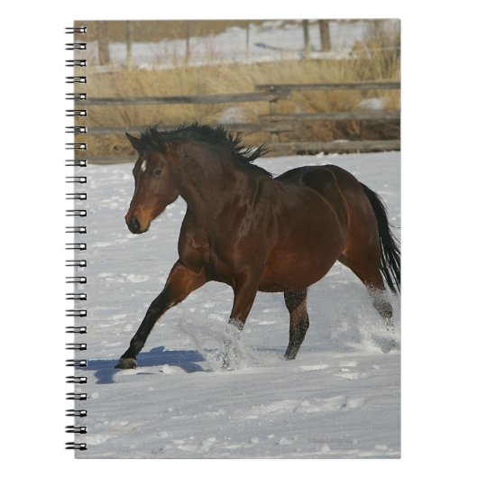 Thoroughbred Horse Runin the Snow Notitieboek (Voorkant)
