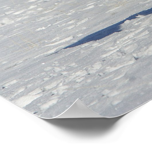 Thoroughbred Horse Runin the Snow Poster (Hoek)