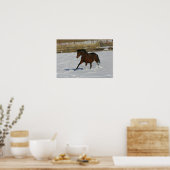 Thoroughbred Horse Runin the Snow Poster (Keuken)