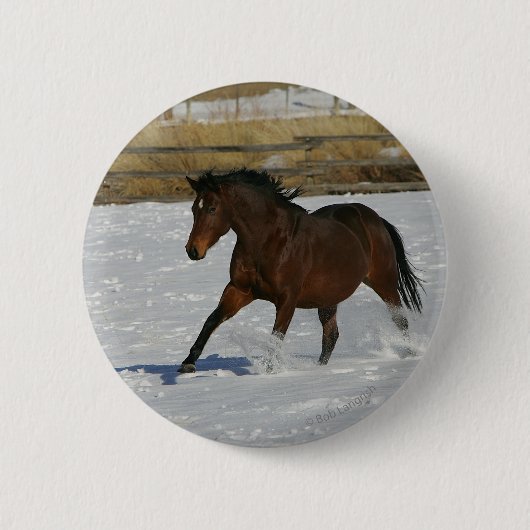 Thoroughbred Horse Runin the Snow Ronde Button 5,7 Cm (Voorkant)