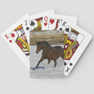 Thoroughbred Horse Runin the Snow Speelkaarten