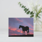 Thoroughbred Horse Silhouetted at Sunrise Briefkaart (Staand voorkant)