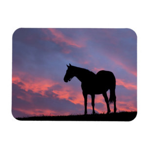 Thoroughbred Horse Silhouetted at Sunrise Magneet