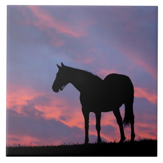 Thoroughbred Horse Silhouetted at Sunrise Tegeltje (Voorkant)