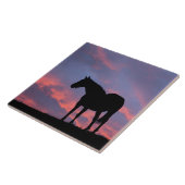 Thoroughbred Horse Silhouetted at Sunrise Tegeltje (Zijkant)