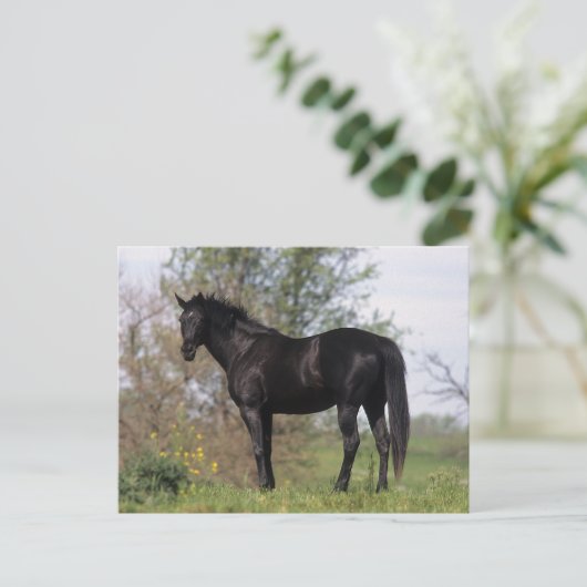 Thoroughbred Horse Standing Briefkaart (Staand voorkant)