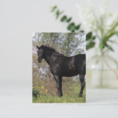 Thoroughbred Horse Standing Briefkaart (Staand voorkant)