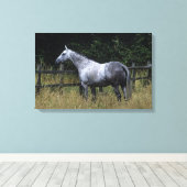 Thoroughbred Horse Standing by Fence Canvas Afdruk (Insitu (Houten vloer))