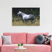 Thoroughbred Horse Standing by Fence Canvas Afdruk (Insitu (Woonkamer))
