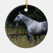 Thoroughbred Horse Standing by Fence Keramisch Ornament (Voorkant)