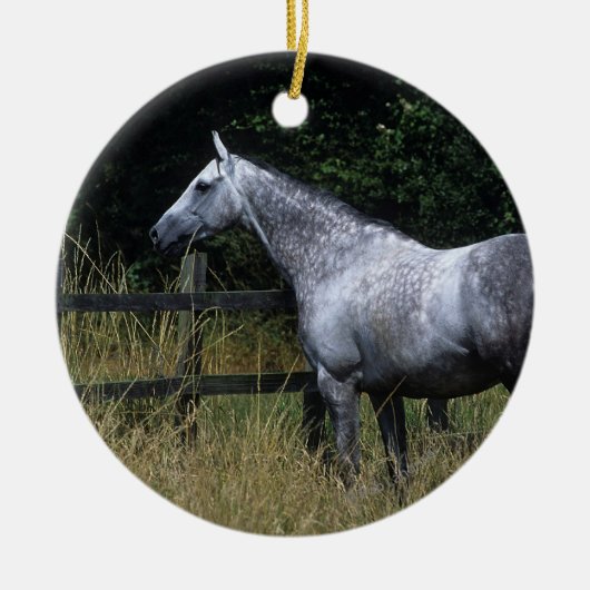 Thoroughbred Horse Standing by Fence Keramisch Ornament (Voorkant)