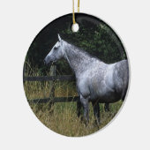 Thoroughbred Horse Standing by Fence Keramisch Ornament (Links)