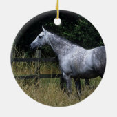 Thoroughbred Horse Standing by Fence Keramisch Ornament (Achterkant)