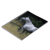 Thoroughbred Horse Standing by Fence Notitieboek (Linkerzijde)