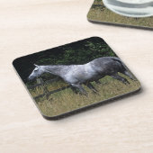 Thoroughbred Horse Standing by Fence Onderzetter (Linkerzijde)