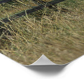 Thoroughbred Horse Standing by Fence Poster (Hoek)