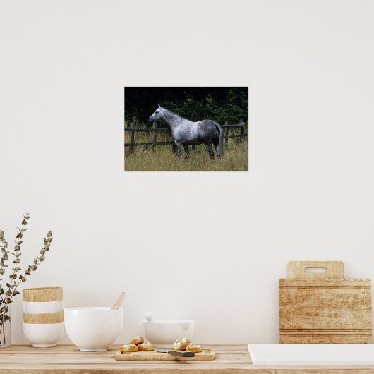 Thoroughbred Horse Standing by Fence Poster (Keuken)
