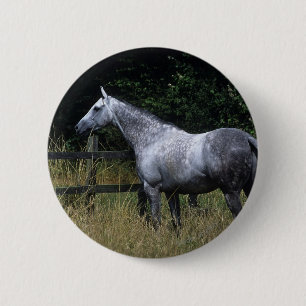 Thoroughbred Horse Standing by Fence Ronde Button 5,7 Cm