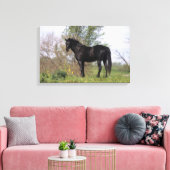 Thoroughbred Horse Standing Canvas Afdruk (Insitu (Woonkamer))