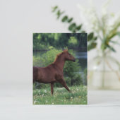 Thoroughbred Horse Standing in Flowers Briefkaart (Staand voorkant)