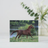 Thoroughbred Horse Standing in Flowers Briefkaart (Staand voorkant)