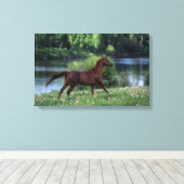 Thoroughbred Horse Standing in Flowers Canvas Afdruk (Insitu (Houten vloer))