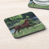 Thoroughbred Horse Standing in Flowers Drankjes Onderzetter (Linkerzijde)