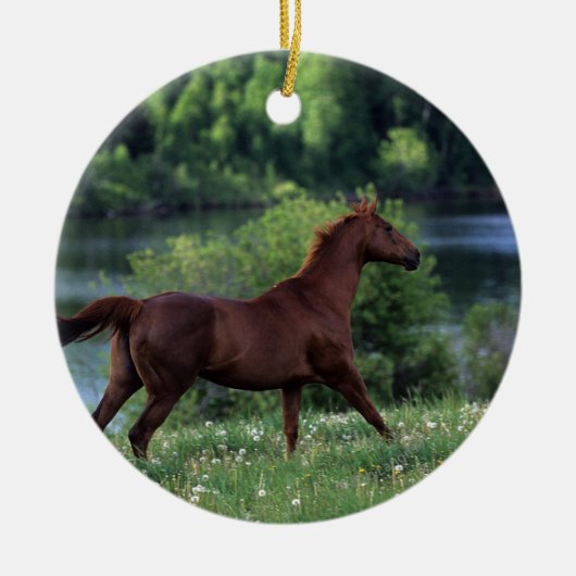 Thoroughbred Horse Standing in Flowers Keramisch Ornament (Voorkant)