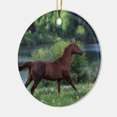 Thoroughbred Horse Standing in Flowers Keramisch Ornament (Links)