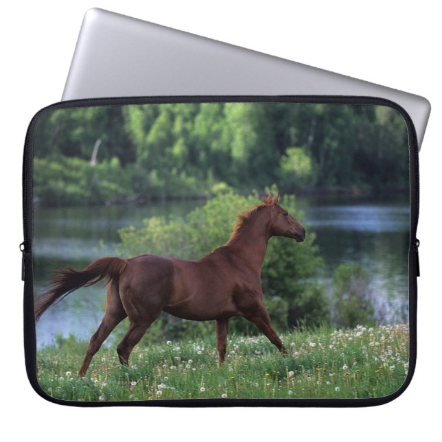 Thoroughbred Horse Standing in Flowers Laptop Sleeve (Voorkant)