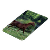 Thoroughbred Horse Standing in Flowers Magneet (Linkerzijde)