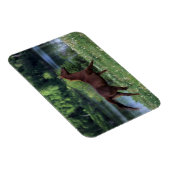 Thoroughbred Horse Standing in Flowers Magneet (Rechterzijde)