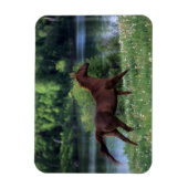 Thoroughbred Horse Standing in Flowers Magneet (Verticaal)