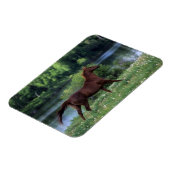 Thoroughbred Horse Standing in Flowers Magneet (Linkerzijde)
